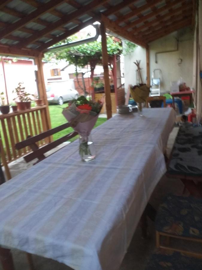 Cîrţişoara Casa Argentina 빌라 외부 사진