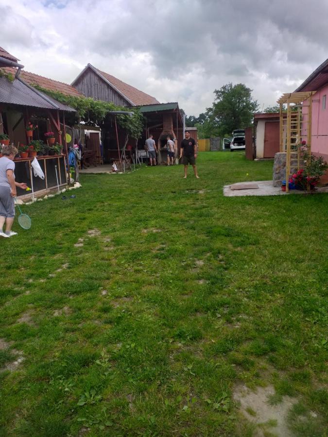 Cîrţişoara Casa Argentina 빌라 외부 사진