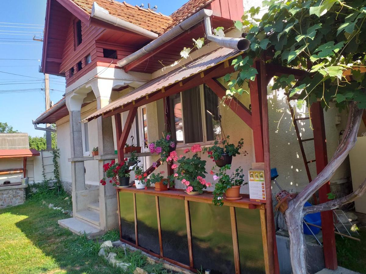 Cîrţişoara Casa Argentina 빌라 외부 사진