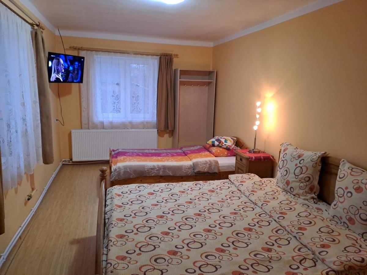 Cîrţişoara Casa Argentina 빌라 외부 사진