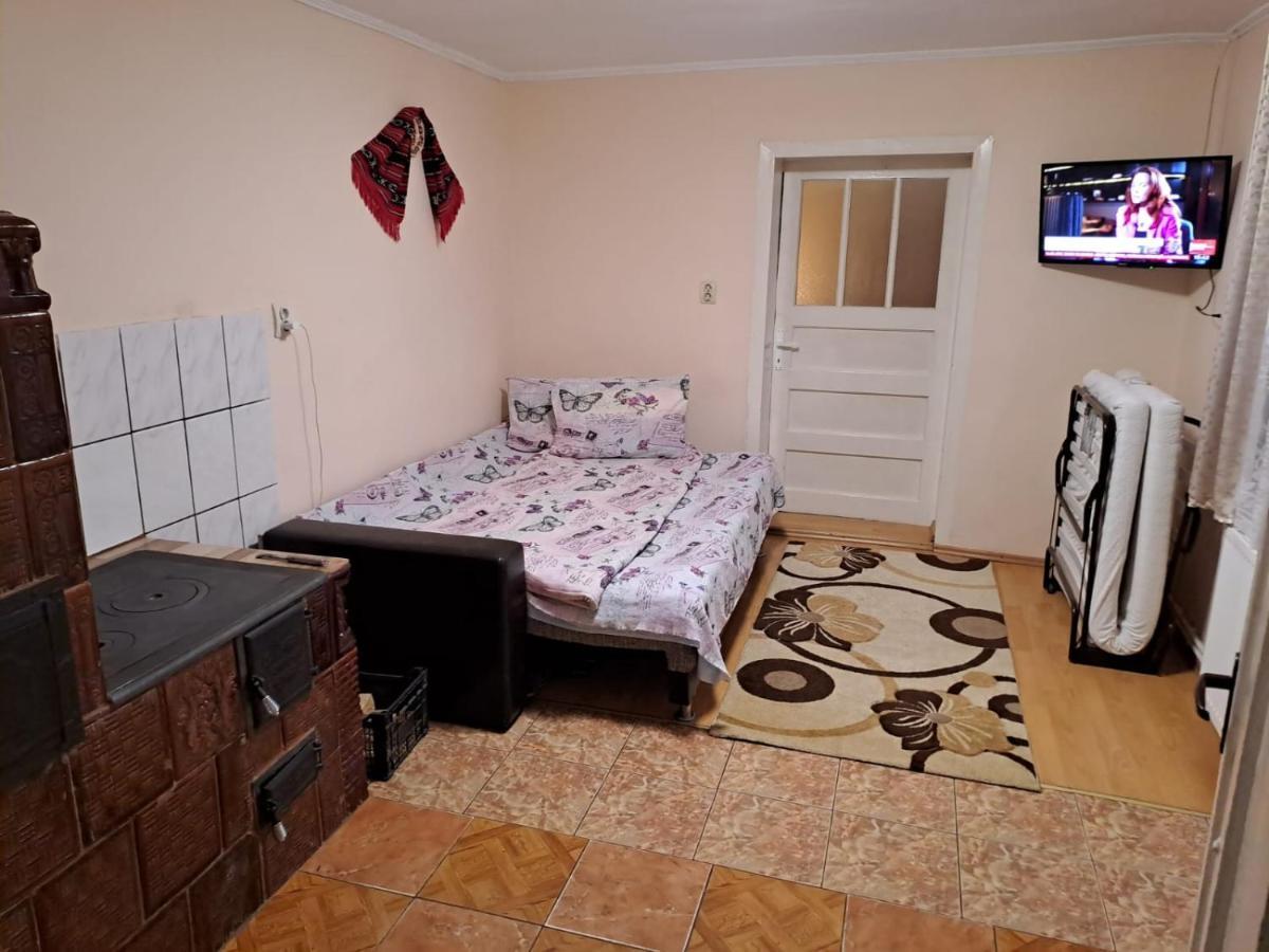 Cîrţişoara Casa Argentina 빌라 외부 사진
