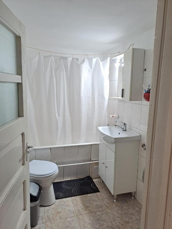 Cîrţişoara Casa Argentina 빌라 외부 사진