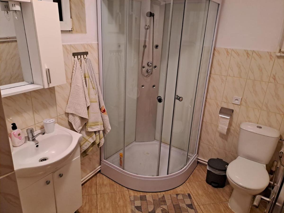 Cîrţişoara Casa Argentina 빌라 외부 사진