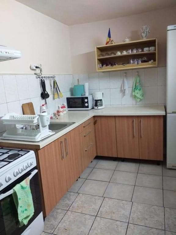 Cîrţişoara Casa Argentina 빌라 외부 사진
