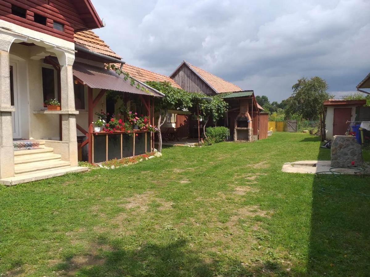 Cîrţişoara Casa Argentina 빌라 외부 사진